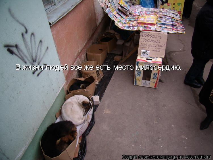 В жизни людей все же есть место милосердию..... Котоматрица: В жизни людей все же есть место милосердию..