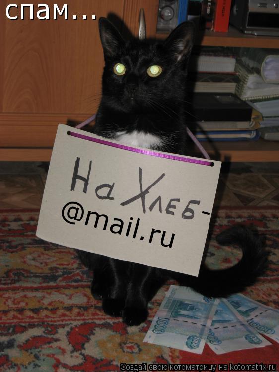 спам... @mail.ru -... Котоматрица: спам... @mail.ru -
