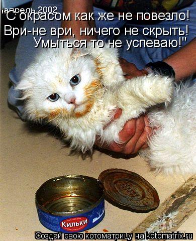 Ври-не ври, ничего не скрыть! Умыться то не успеваю!" "С окрасом как же не повезло!... Котоматрица: Ври-не ври, ничего не скрыть! Умыться то не успеваю!" "С окрасом как же не повезло!
