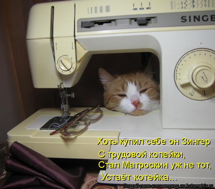 Котоматрица: Хоть купил себе он Зингер Стал Матроскин уж не тот, С трудовой копейки, Устаёт котейка...