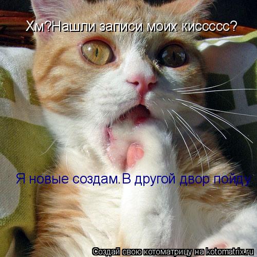 Хм?Нашли записи моих киссссс? Мяу я новые создам.В другой двор пойду. Я новые создам.В другой двор п... Котоматрица: Хм?Нашли записи моих киссссс? Мяу я новые создам.В другой двор пойду. Я новые создам.В другой двор пойду.