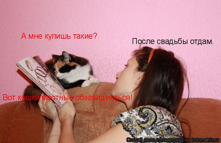 А мне купишь такие? После свадьбы отдам. Вот кошки местные обзавидуються!... Котоматрица: А мне купишь такие? После свадьбы отдам. Вот кошки местные обзавидуються!