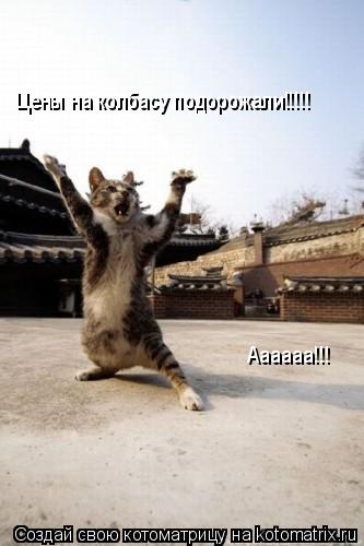 Цены на колбасу подорожали!!!!! Аааааа!!!... Котоматрица: Цены на колбасу подорожали!!!!! Аааааа!!!