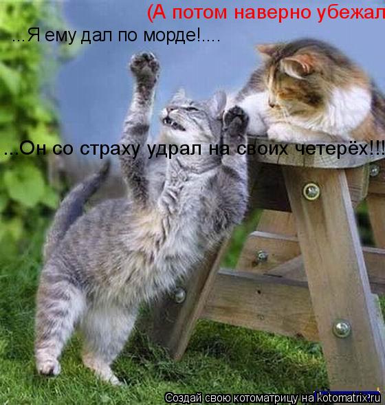 ...Я ему дал по морде!.... (А потом наверно убежал) ...Он со страху удрал на своих четерёх!!!!!!!!!!... Котоматрица: ...Я ему дал по морде!.... (А потом наверно убежал) ...Он со страху удрал на своих четерёх!!!!!!!!!!