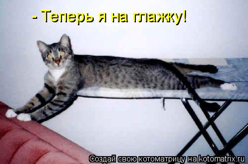 - Теперь я на глажку! - Теперь я на глажку!... Котоматрица: - Теперь я на глажку! - Теперь я на глажку!