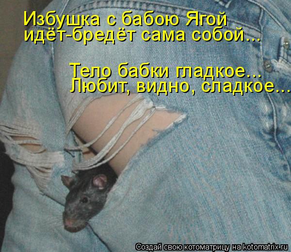 Избушка с бабою Ягой идёт-бредёт сама собой... Любит, видно, сладкое... Тело бабки гладкое...... Котоматрица: Избушка с бабою Ягой идёт-бредёт сама собой... Любит, видно, сладкое... Тело бабки гладкое...