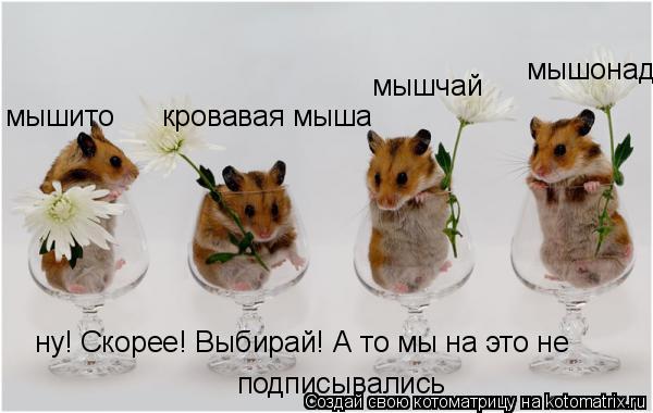 мышонад ну! Скорее! Выбирай! А то мы на это не мышито кровавая мыша мышчай подписывались... Котоматрица: мышонад ну! Скорее! Выбирай! А то мы на это не мышито кровавая мыша мышчай подписывались