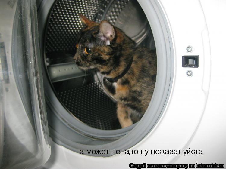 а может ненадо ну пожааалуйста... Котоматрица: а может ненадо ну пожааалуйста