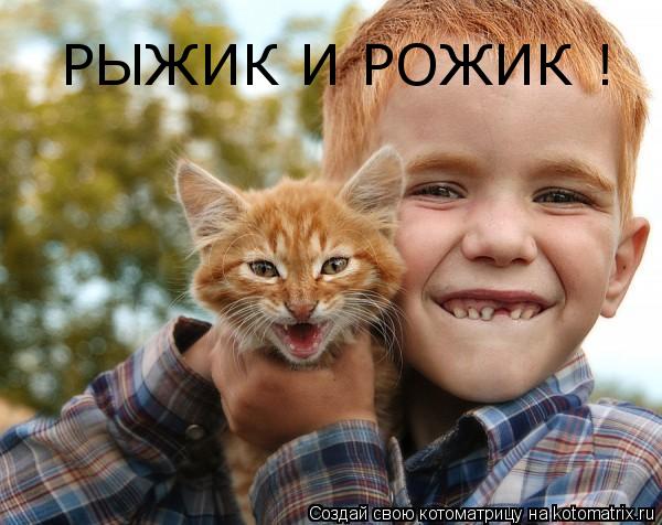 РЫЖИК И РОЖИК !... Котоматрица: РЫЖИК И РОЖИК !