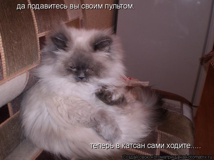 да подавитесь вы своим пультом. теперь в катсан сами ходите........ Котоматрица: да подавитесь вы своим пультом. теперь в катсан сами ходите.....
