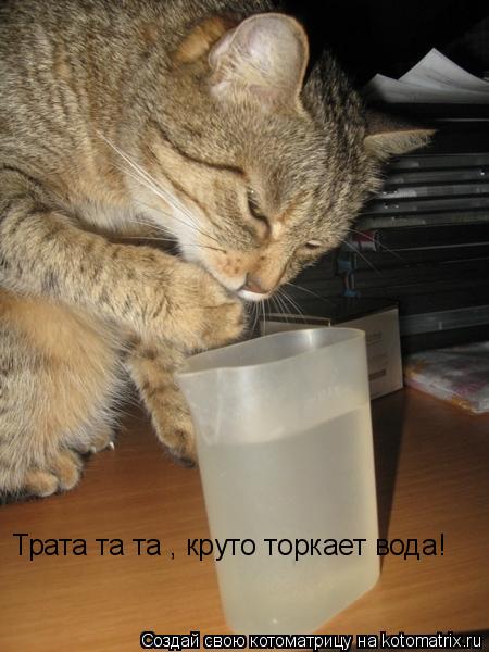 Трата та та , круто торкает вода!... Котоматрица: Трата та та , круто торкает вода!