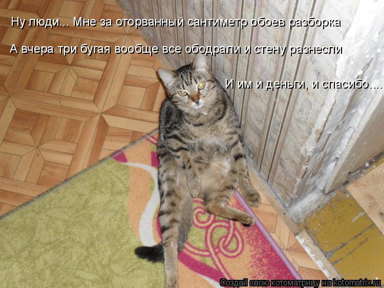 А вчера три бугая вообще все ободрали и стену разнесли И им и деньги, и спасибо.... Ну люди... Мне за... Котоматрица: А вчера три бугая вообще все ободрали и стену разнесли И им и деньги, и спасибо.... Ну люди... Мне за оторванный сантиметр обоев разборка