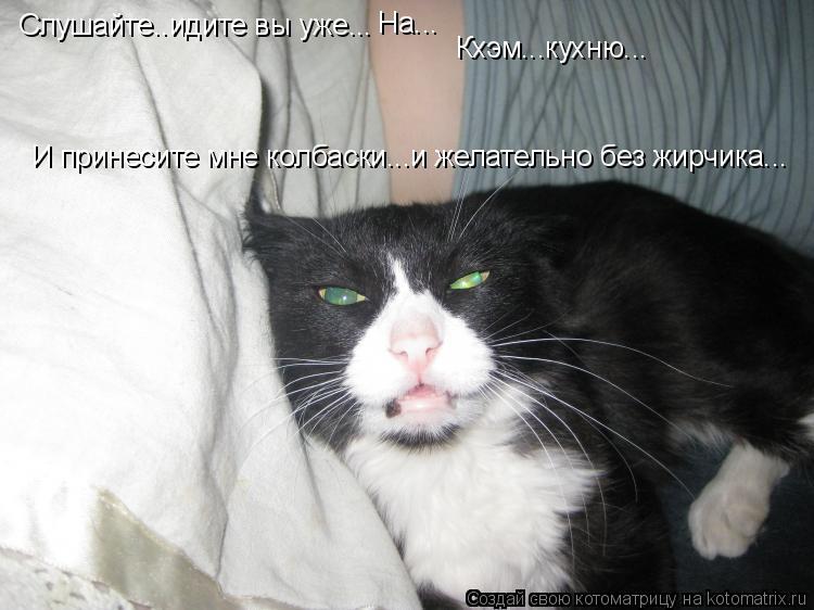 Слушайте..идите вы уже... На... Кхэм...кухню... И принесите мне колбаски...и желательно без жирчика..... Котоматрица: Слушайте..идите вы уже... На... Кхэм...кухню... И принесите мне колбаски...и желательно без жирчика...