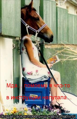 Мда... помоему я что-то в инструкции напутала...... Котоматрица: Мда... помоему я что-то в инструкции напутала...