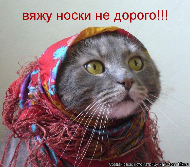 вяжу носки не дорого!!!... Котоматрица: вяжу носки не дорого!!!