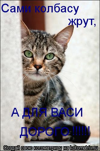 Сами колбасу жрут, А ДЛЯ ВАСИ ДОРОГО !!!!!!... Котоматрица: Сами колбасу жрут, А ДЛЯ ВАСИ ДОРОГО !!!!!!