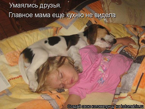 Умаялись друзья. Главное мама еще кухню не видела... Котоматрица: Умаялись друзья. Главное мама еще кухню не видела