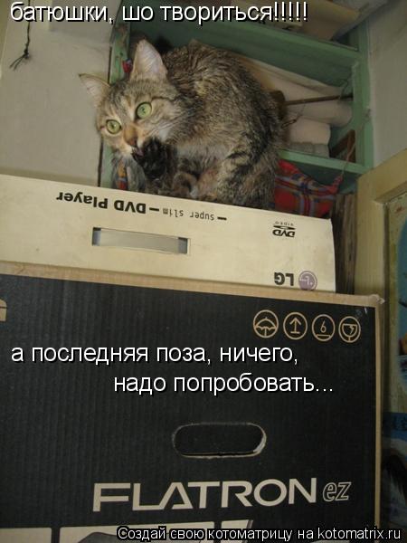 батюшки, шо твориться!!!!! а последняя поза, ничего, надо попробовать...... Котоматрица: батюшки, шо твориться!!!!! а последняя поза, ничего, надо попробовать...