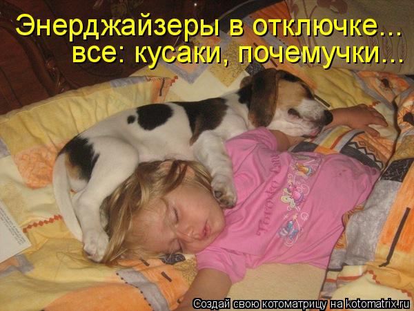Энерджайзеры в отключке... все: кусаки, почемучки...... Котоматрица: Энерджайзеры в отключке... все: кусаки, почемучки...