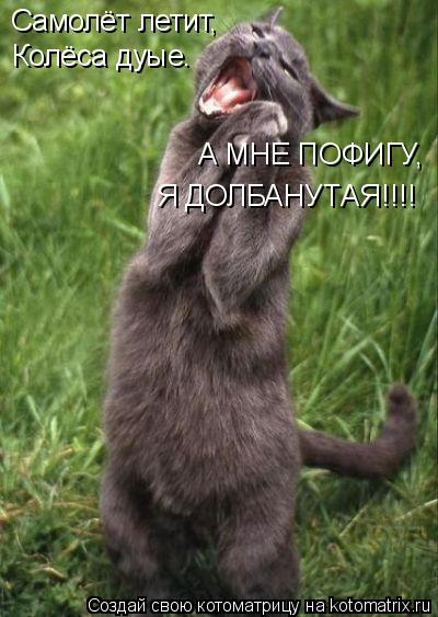Самолёт летит, Колёса дуые. А МНЕ ПОФИГУ, Я ДОЛБАНУТАЯ!!!!... Котоматрица: Самолёт летит, Колёса дуые. А МНЕ ПОФИГУ, Я ДОЛБАНУТАЯ!!!!