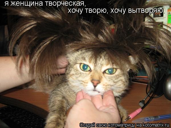 я женщина творческая, хочу творю, хочу вытворяю.... Котоматрица: я женщина творческая, хочу творю, хочу вытворяю.