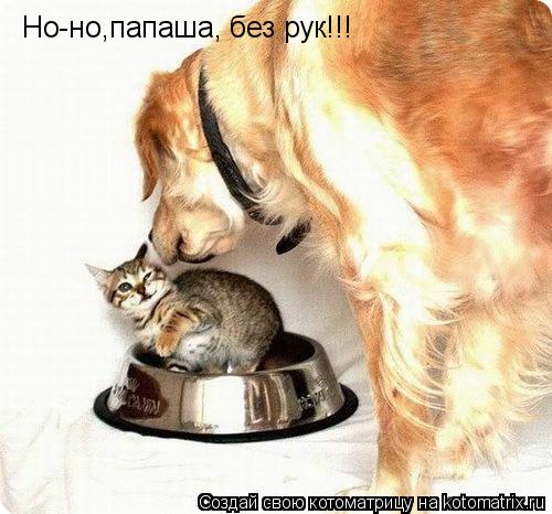 Но-но,папаша, без рук!!!... Котоматрица: Но-но,папаша, без рук!!!