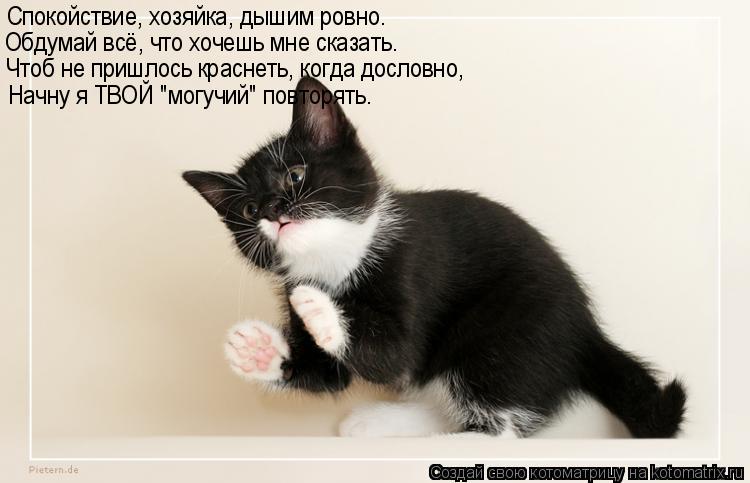 Спокойствие, хозяйка, дышим ровно. Обдумай всё, что хочешь мне сказать. Чтоб не пришлось краснеть, ко... Котоматрица: Спокойствие, хозяйка, дышим ровно. Обдумай всё, что хочешь мне сказать. Чтоб не пришлось краснеть, когда дословно, Начну я ТВОЙ "могучий" повт