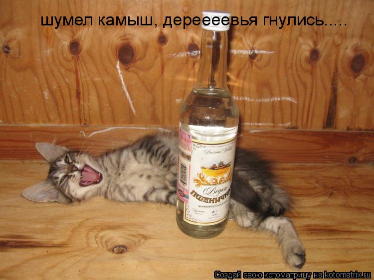 Скачать текст песни застольная