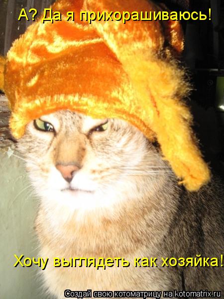 А? Да я прихорашиваюсь! Хочу выглядеть как хозяйка!... Котоматрица: А? Да я прихорашиваюсь! Хочу выглядеть как хозяйка!