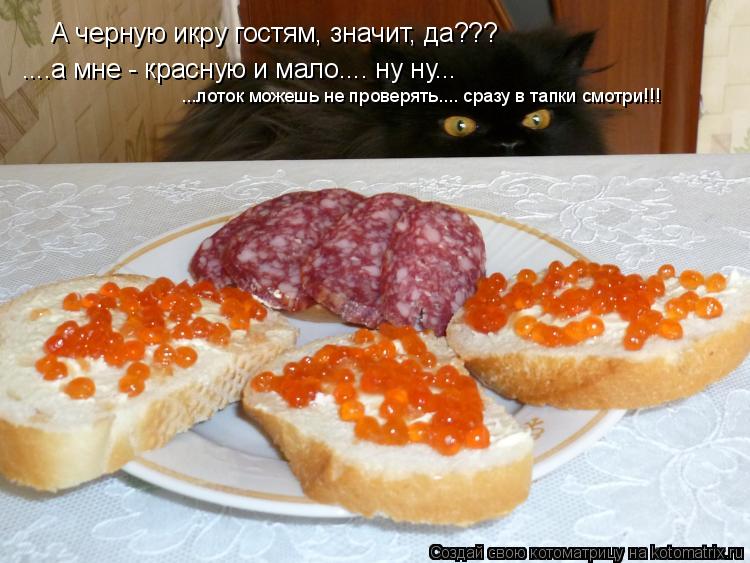 А черную икру гостям, значит, да??? ....а мне - красную и мало.... ну ну... ...лоток можешь не прове... Котоматрица: А черную икру гостям, значит, да??? ....а мне - красную и мало.... ну ну... ...лоток можешь не проверять.... сразу в тапки смотри!!!