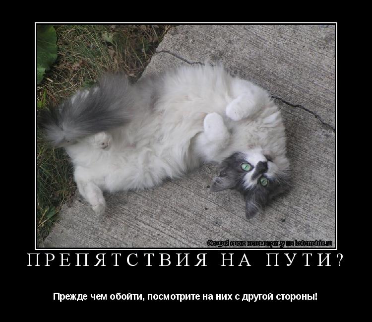 Препятствия на пути? Прежде чем обойти, посмотрите на них с другой стороны!... Котоматрица: Препятствия на пути? Прежде чем обойти, посмотрите на них с другой стороны!