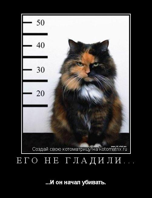Его не гладили... ...И он начал убивать.... Котоматрица: Его не гладили... ...И он начал убивать.