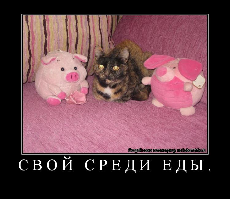 Свой среди еды. ... Котоматрица: Свой среди еды.