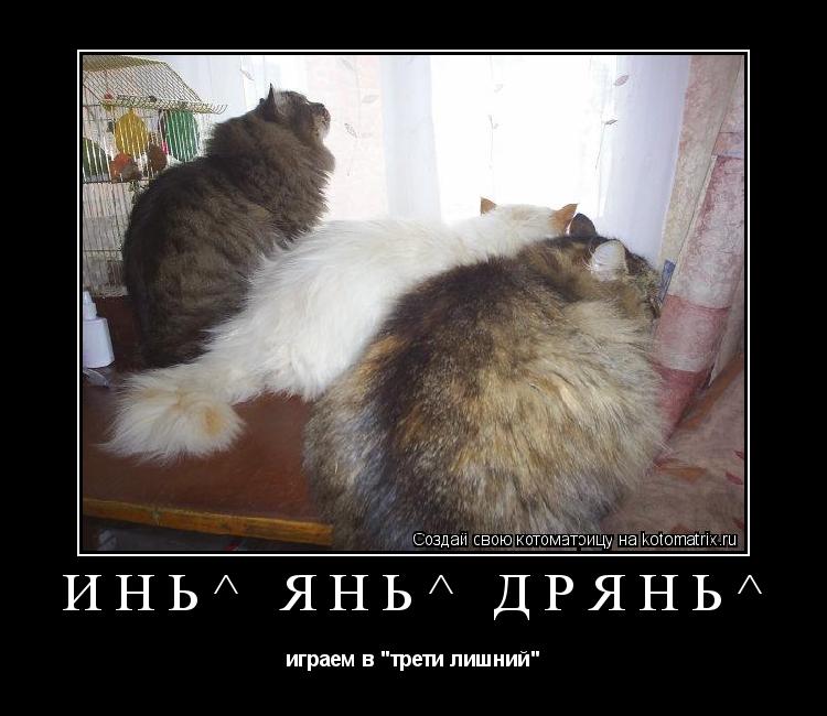 Котоматрица: инь^ янь^ дрянь^ играем в "трети лишний"