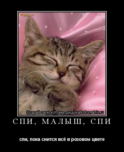 Спи, малыш, спи спи, пока снится всё в розовом цвете... Котоматрица: Спи, малыш, спи спи, пока снится всё в розовом цвете