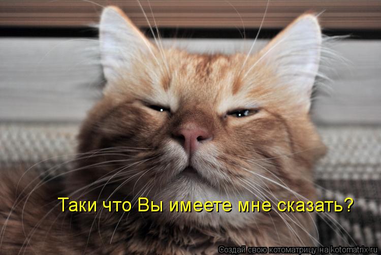 Таки что Вы имеете мне сказать?... Котоматрица: Таки что Вы имеете мне сказать?