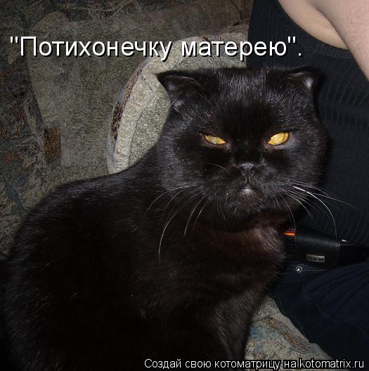 "Потихонечку матерею".... Котоматрица: "Потихонечку матерею".