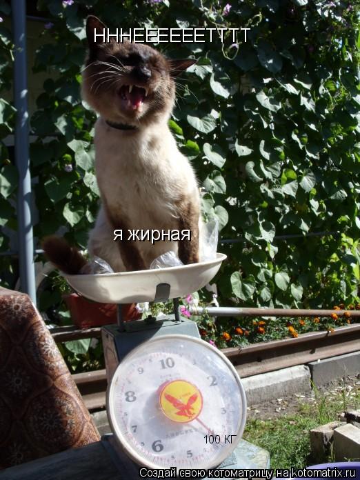 НННЕЕЕЕЕЕТТТТ я жирная 100 КГ... Котоматрица: НННЕЕЕЕЕЕТТТТ я жирная 100 КГ