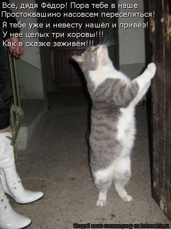 Всё, дядя Фёдор! Пора тебе в наше Простоквашино насовсем переселяться! Я тебе уже и невесту нашёл и п... Котоматрица: Всё, дядя Фёдор! Пора тебе в наше Простоквашино насовсем переселяться! Я тебе уже и невесту нашёл и привёз! У неё целых три коровы!!! Как в ска