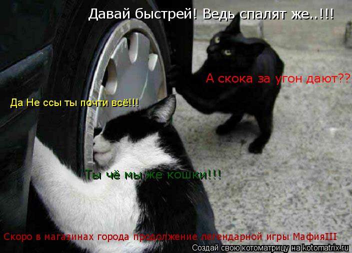Давай быстрей! Ведь спалят же..!!! Да Не ссы ты почти всё!!! А скока за угон дают?? Ты чё мы же кошки... Котоматрица: Давай быстрей! Ведь спалят же..!!! Да Не ссы ты почти всё!!! А скока за угон дают?? Ты чё мы же кошки!!! Скоро в магазинах города продолжение леген