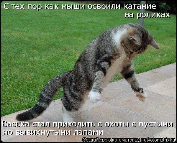 Котоматрица: С тех пор как мыши освоили катание на роликах Васька стал приходить с охоты с пустыми но вывихнутыми лапами