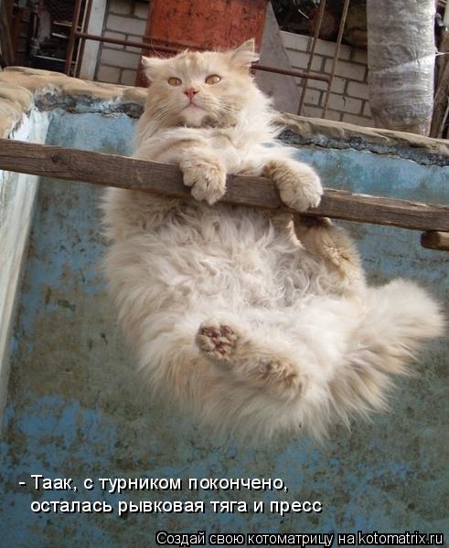 - Таак, с турником покончено, осталась рывковая тяга и пресс... Котоматрица: - Таак, с турником покончено, осталась рывковая тяга и пресс