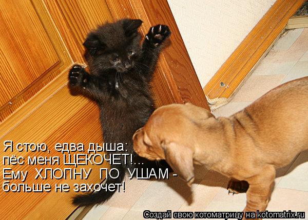Я стою, едва дыша: пёс меня ЩЕКОЧЕТ!... Ему ХЛОПНУ ПО УШАМ - больше не захочет!... Котоматрица: Я стою, едва дыша: пёс меня ЩЕКОЧЕТ!... Ему ХЛОПНУ ПО УШАМ - больше не захочет!