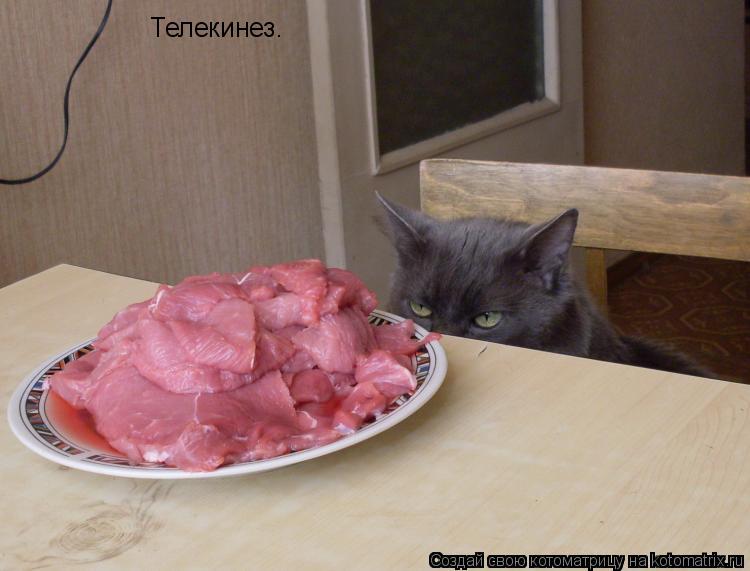 Телекинез.... Котоматрица: Телекинез.