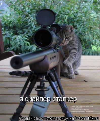 я снайпер сталкер... Котоматрица: я снайпер сталкер
