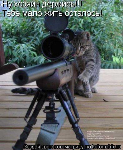 Ну хозяин держись!!! Тебе мало жить осталось! Тебе мало жить осталось!... Котоматрица: Ну хозяин держись!!! Тебе мало жить осталось! Тебе мало жить осталось!