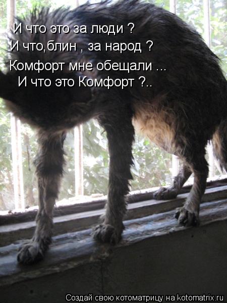 И что это за люди ? И что,блин , за народ ? Комфорт мне обещали ... И что это Комфорт ?..... Котоматрица: И что это за люди ? И что,блин , за народ ? Комфорт мне обещали ... И что это Комфорт ?..