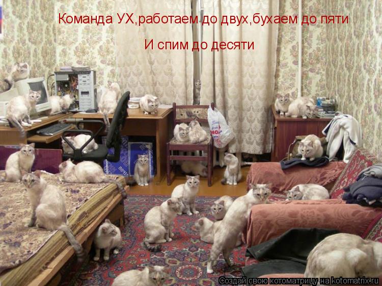 Команда УХ,работаем до двух,бухаем до пяти И спим до десяти... Котоматрица: Команда УХ,работаем до двух,бухаем до пяти И спим до десяти