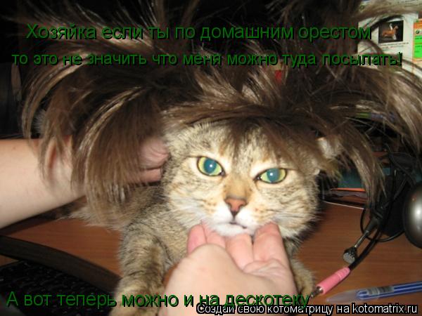 А вот теперь можно и на дескотеку Хозяйка если ты по домашним орестом Хозяйка если ты по домашним оре... Котоматрица: А вот теперь можно и на дескотеку Хозяйка если ты по домашним орестом Хозяйка если ты по домашним орестом то это не значить что меня можно т