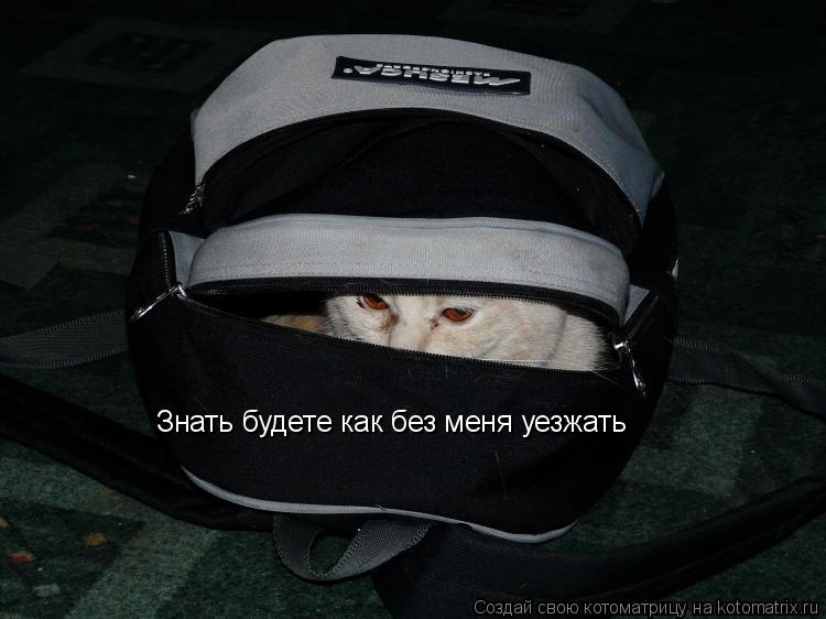Знать будете как без меня уезжать... Котоматрица: Знать будете как без меня уезжать
